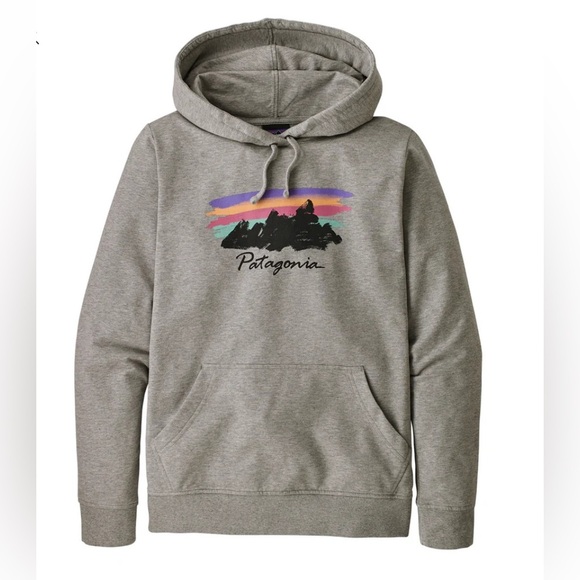Patagonia Free Hand Fitz Roy Ahnya Hoodie in gray - Picture 4 of 13